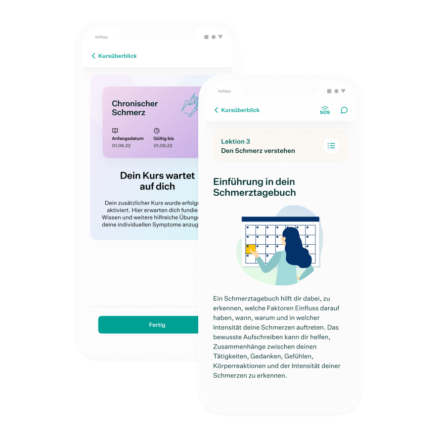 Online-Therapieprogramm chronische Schmerzen